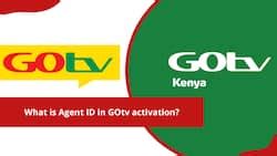 can gotv work without smart card|activate gotv without activation.